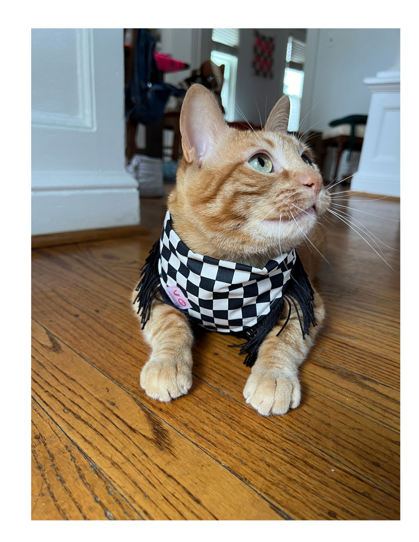 Black & White Checker with Black Fringe Dog Bandana