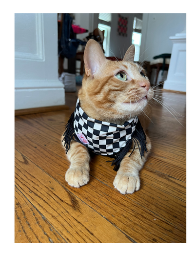 Black & White Checker with Black Fringe Dog Bandana