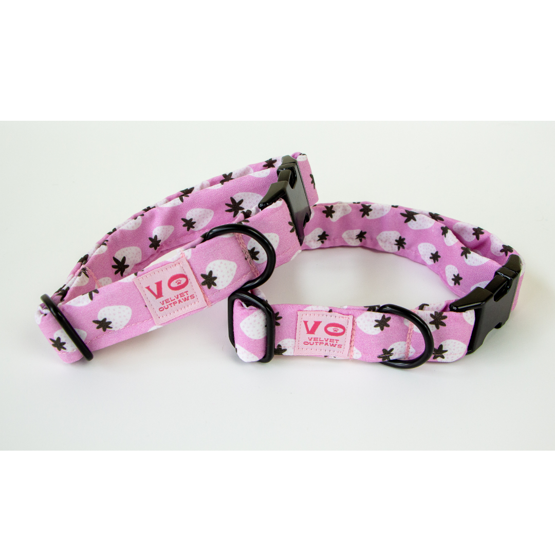 Strawberries Dog Collar