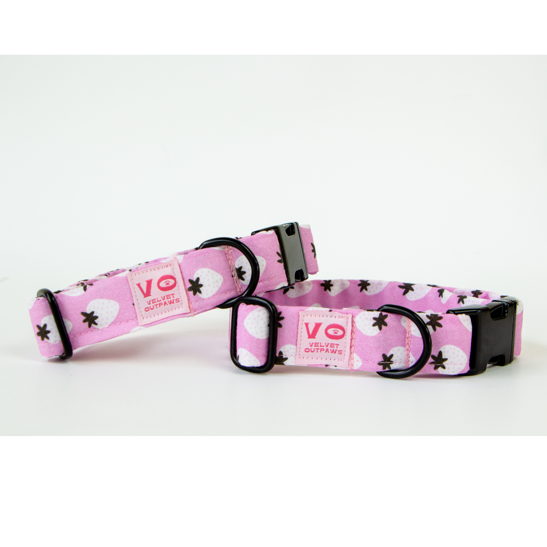 Strawberries Dog Collar