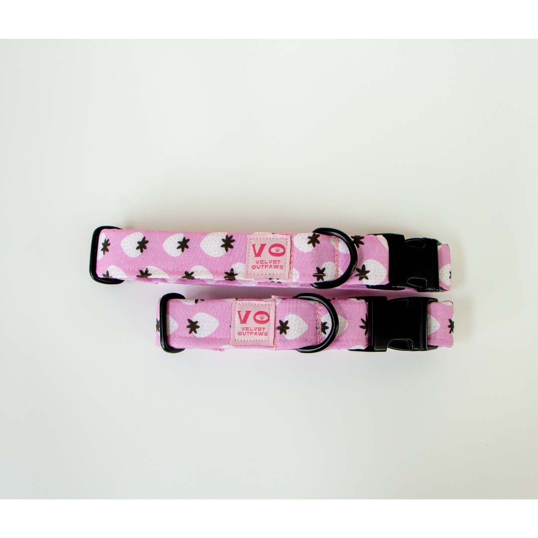 Strawberries Dog Collar