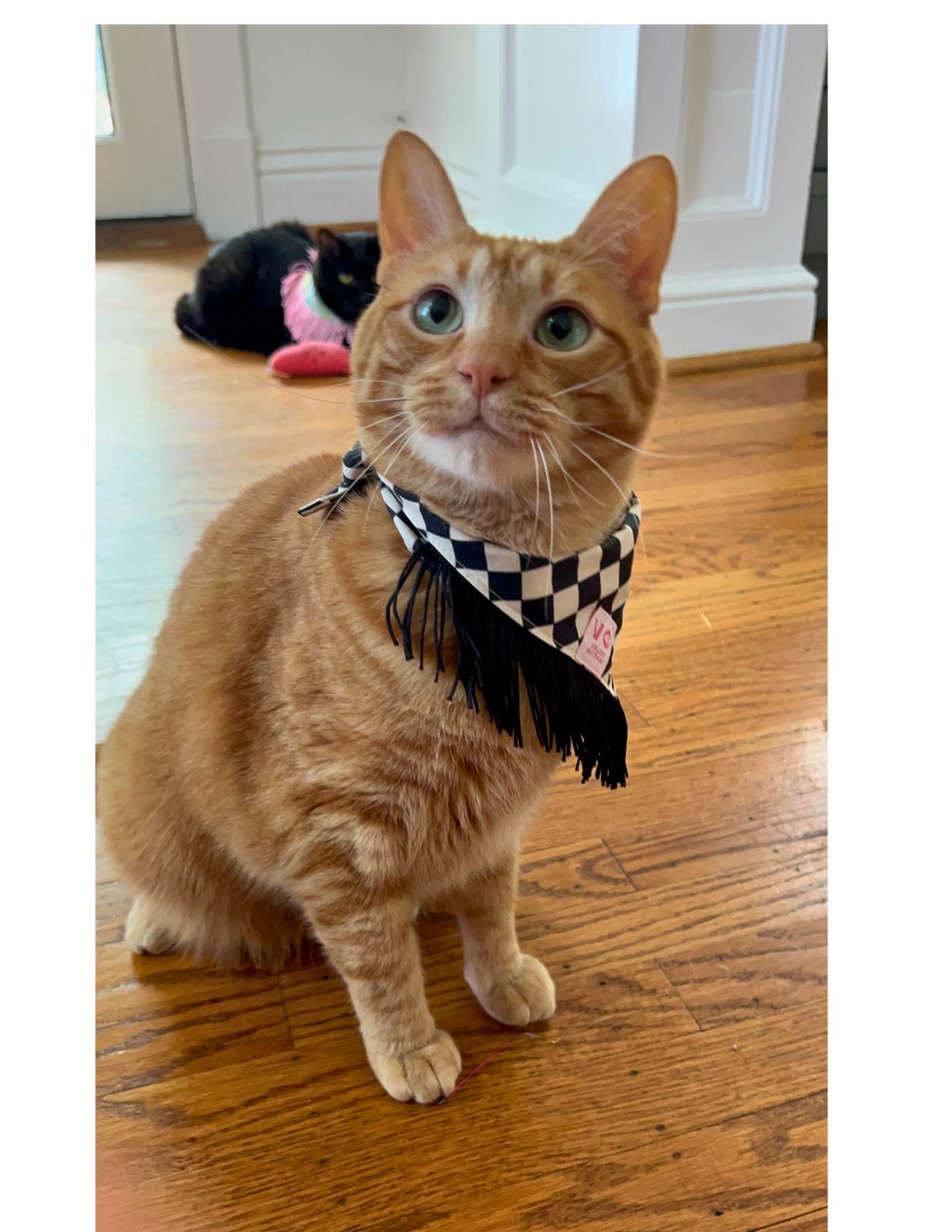 Black & White Checker with Black Fringe Dog Bandana