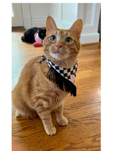 Black & White Checker with Black Fringe Dog Bandana