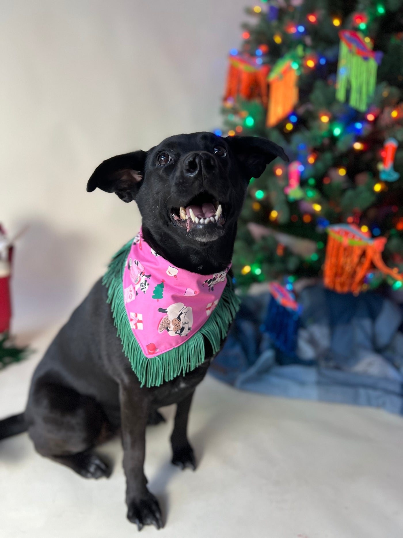 Raccoon Holiday Christmas Fringe Pet Bandana