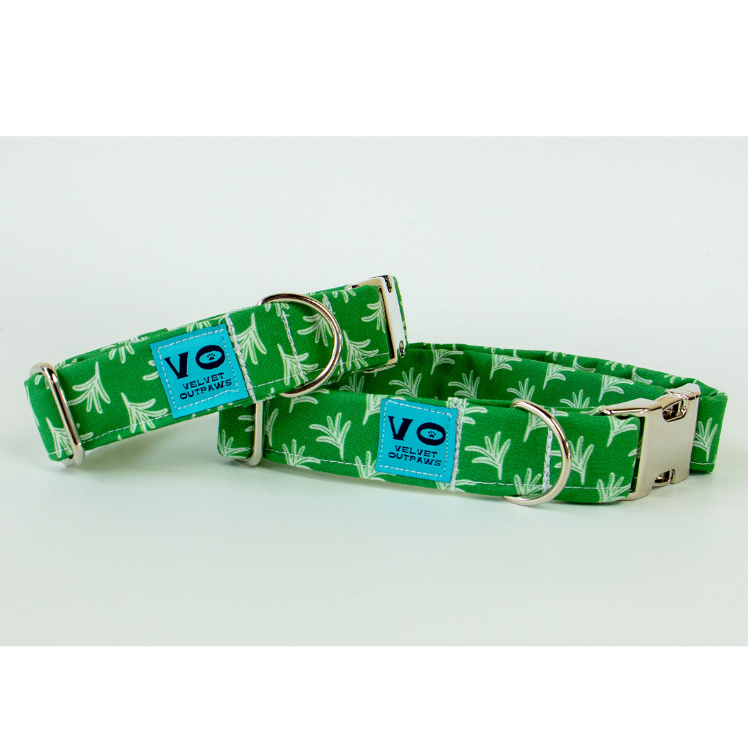 Spring Green Fern Dog Collar