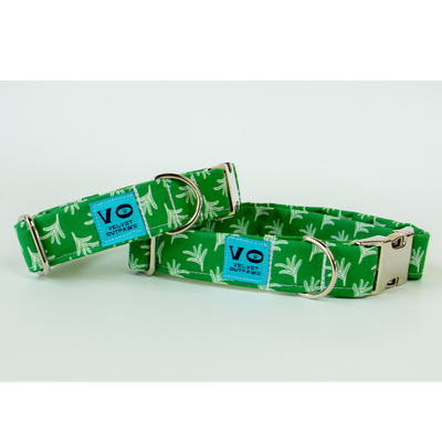 Spring Green Fern Dog Collar