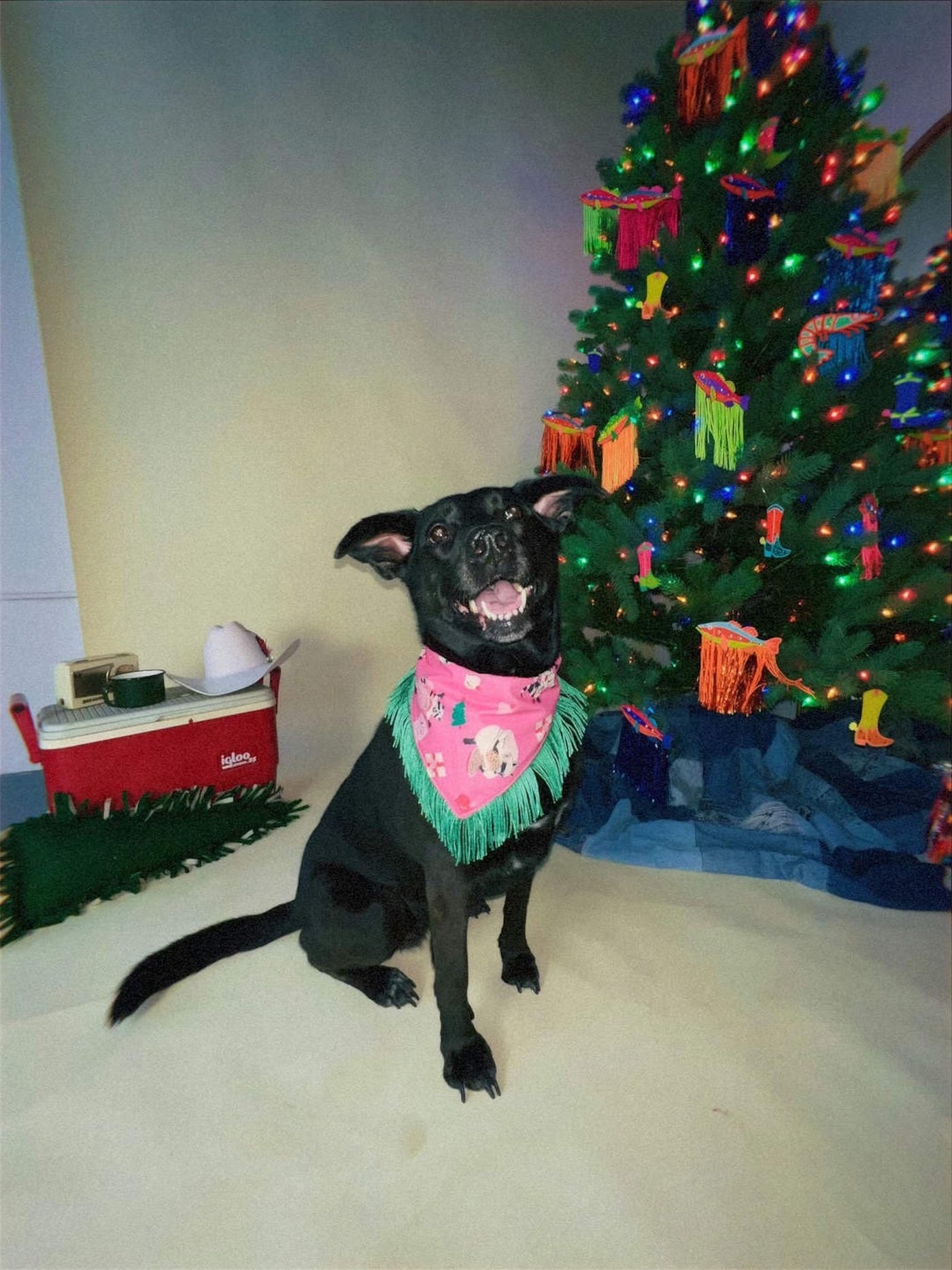 Raccoon Holiday Christmas Fringe Pet Bandana