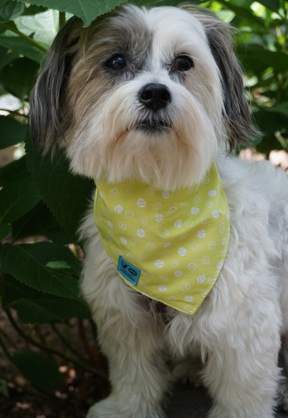 Tennis Balls Dog Bandana