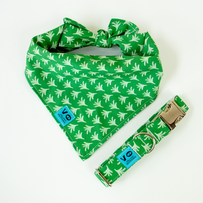 Spring Green Fern Dog Collar