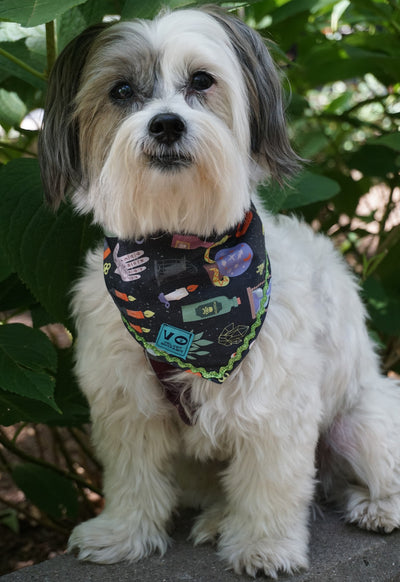 Spooky Salem Halloween Dog Bandana