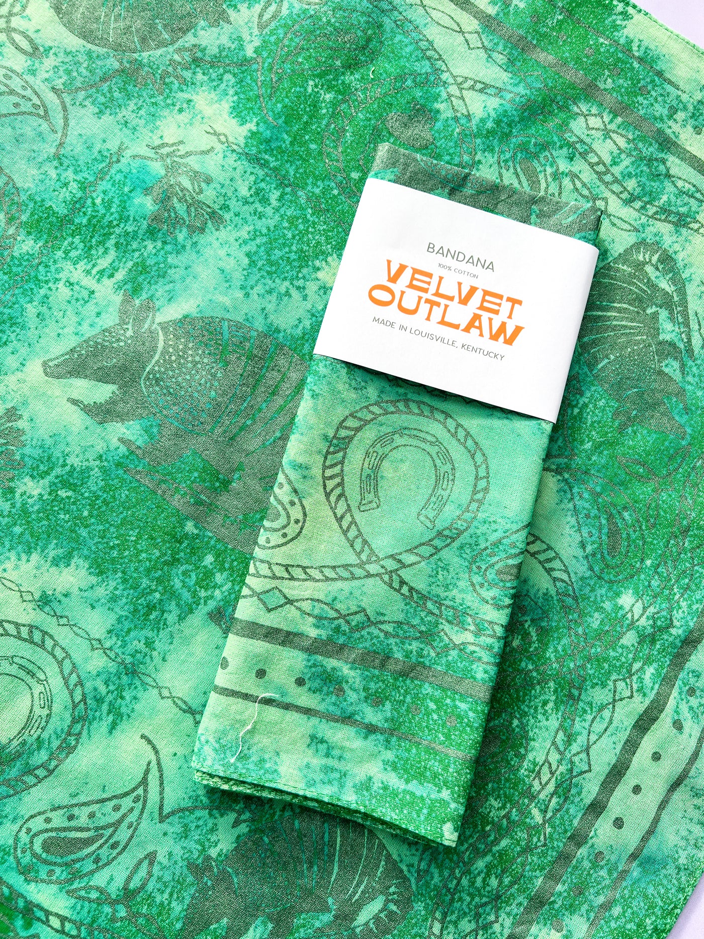 Armadillo Cotton Bandana - Multiple Colors