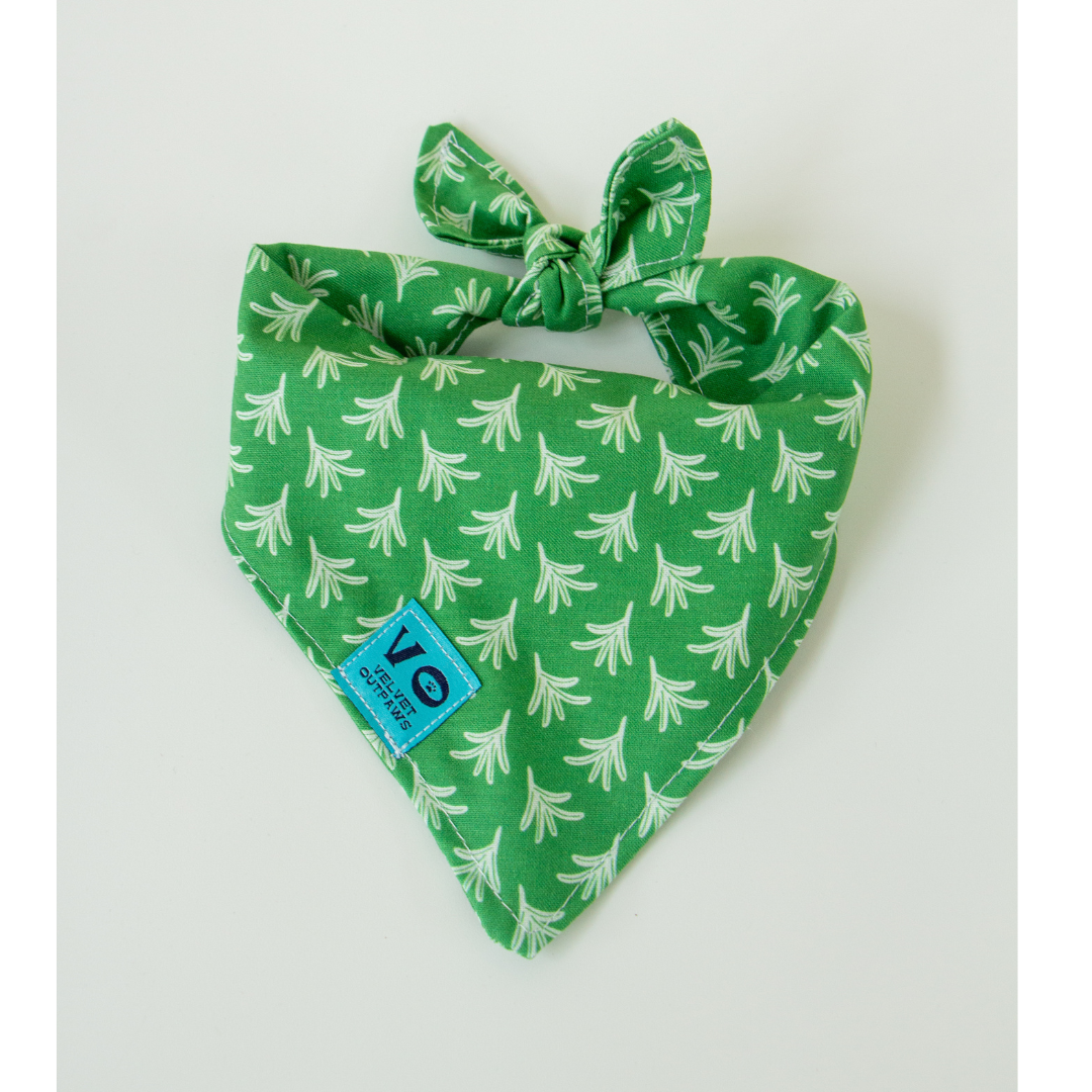 Spring Green Fern Dog Bandana