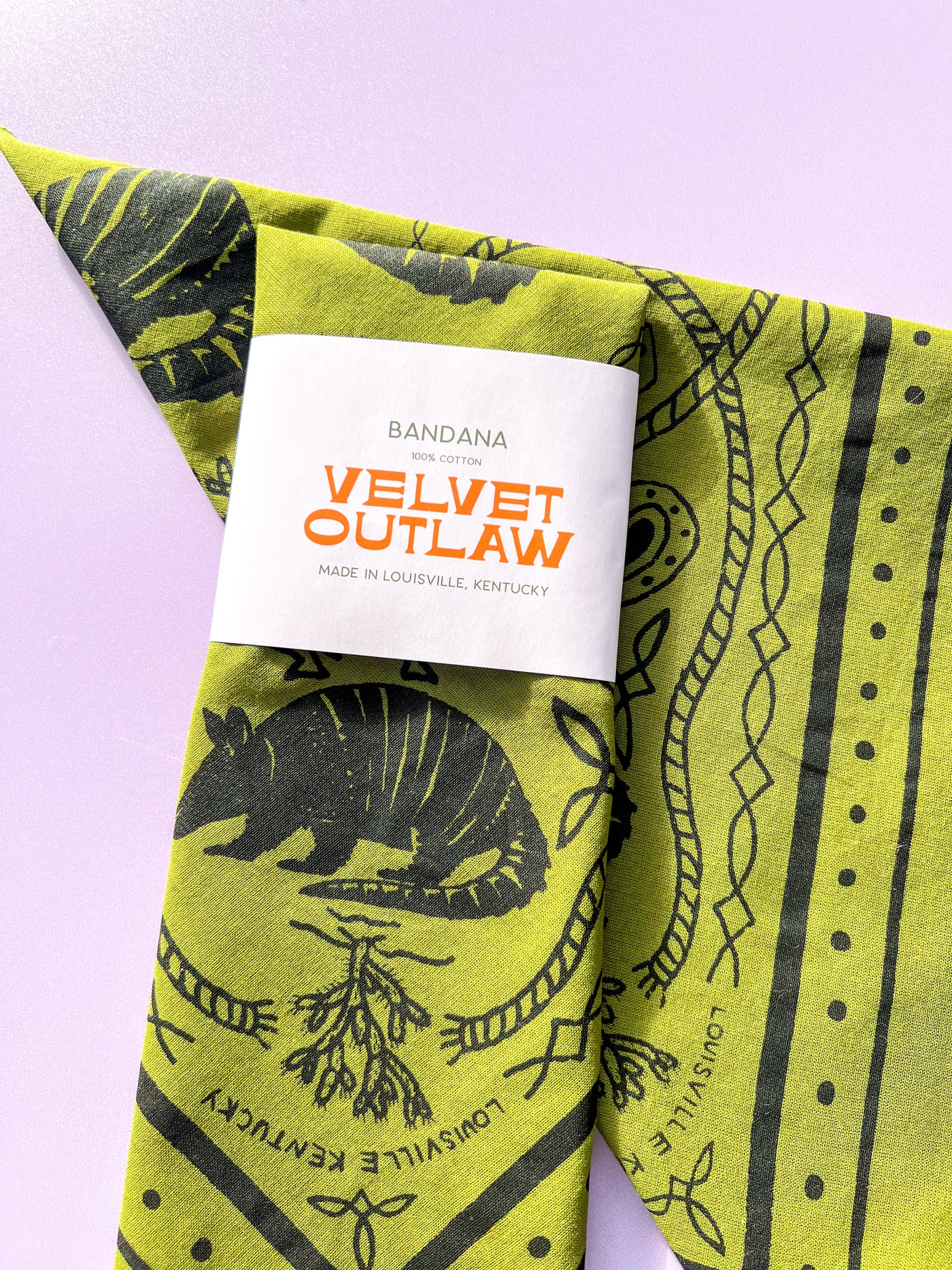 Triangle Armadillo Bandana