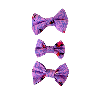 Feral Raccoons Dog Bow Tie