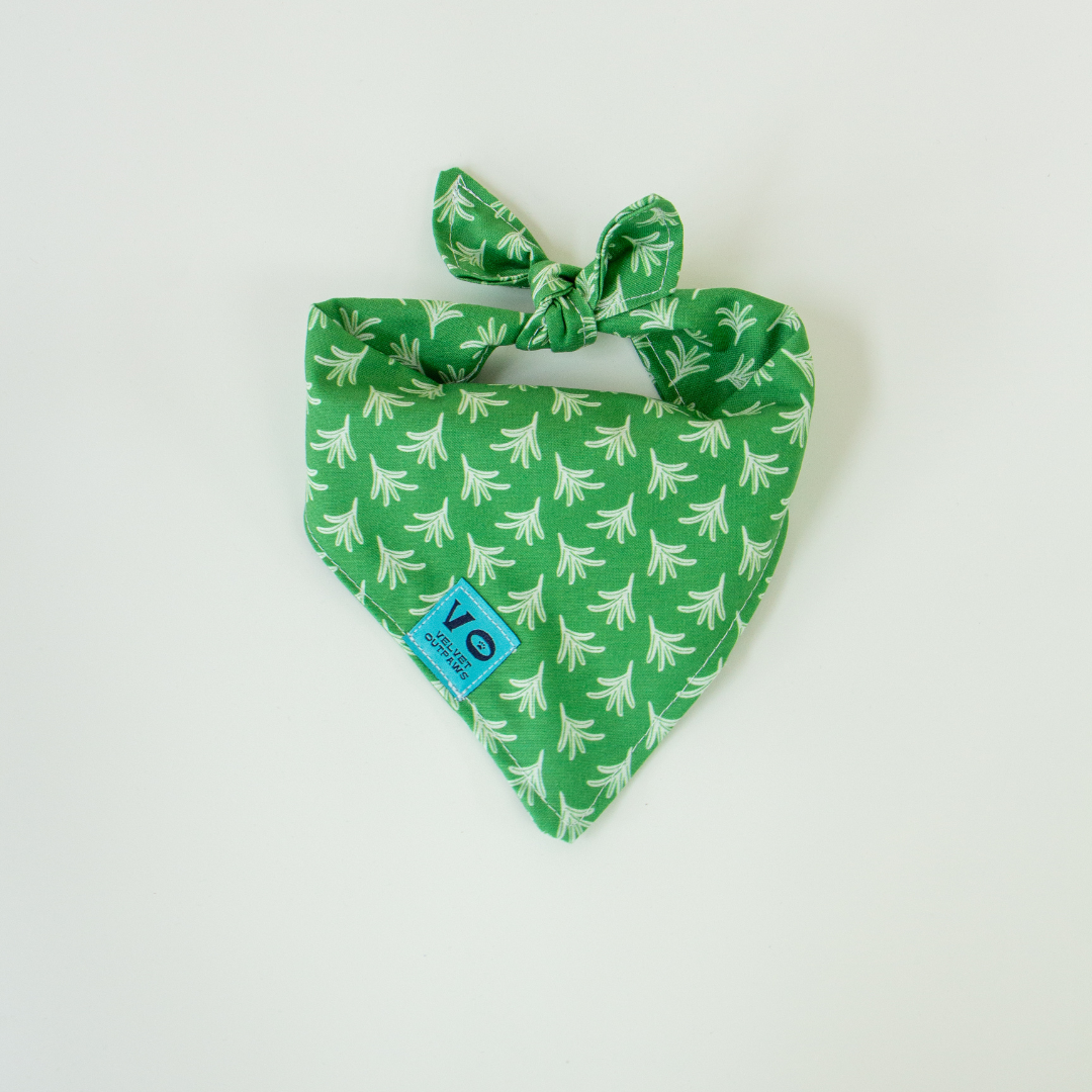 Spring Green Fern Dog Bandana