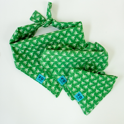 Spring Green Fern Dog Bandana