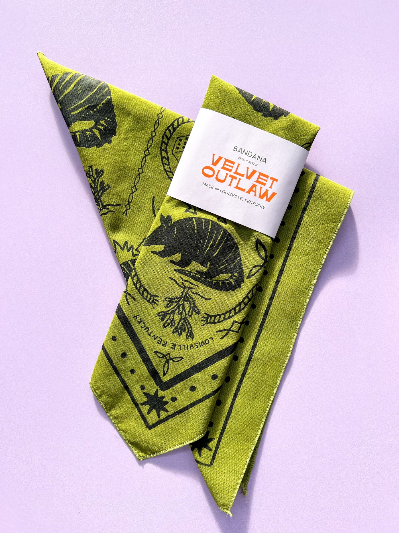 Triangle Armadillo Bandana