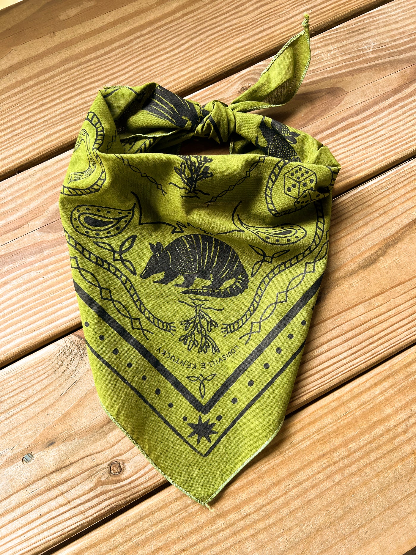 Triangle Armadillo Bandana