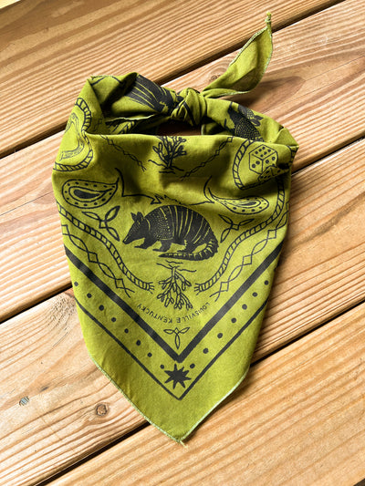 Triangle Armadillo Bandana