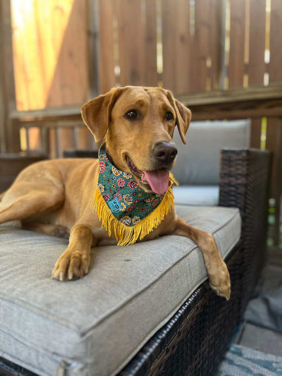 Traditional Tattoo Style Fringe Dog Bandana