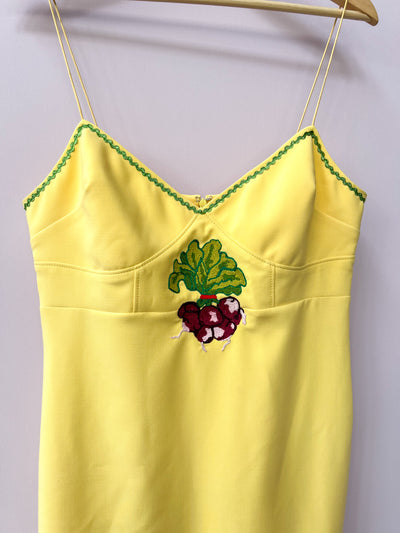 Butter Yellow Radish Midi Fringe Dress