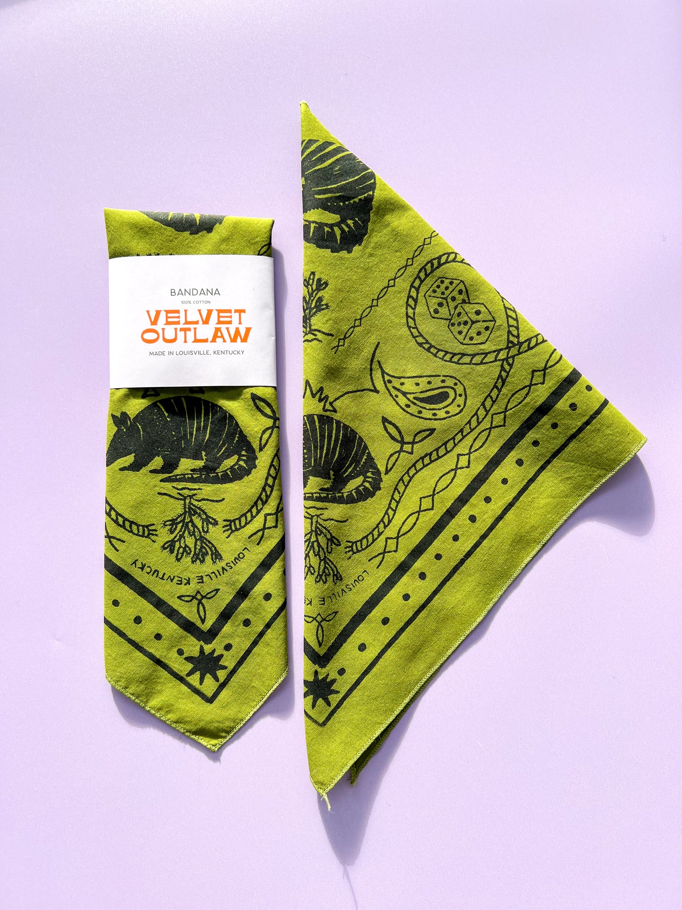 Triangle Armadillo Bandana