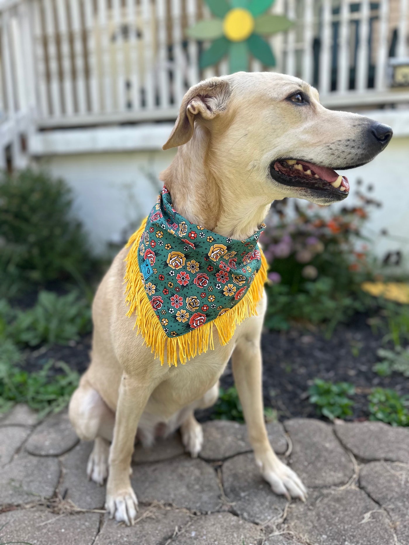 Traditional Tattoo Style Fringe Dog Bandana