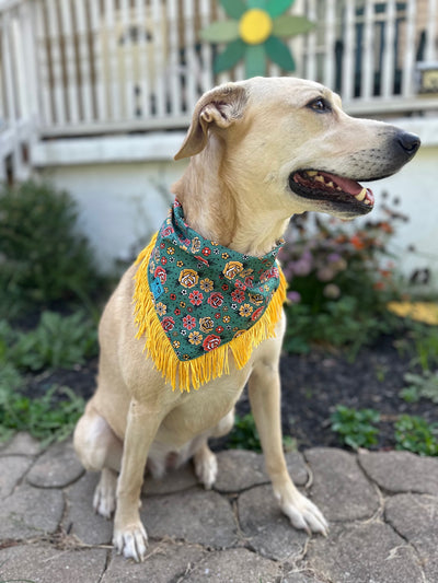 Traditional Tattoo Style Fringe Dog Bandana
