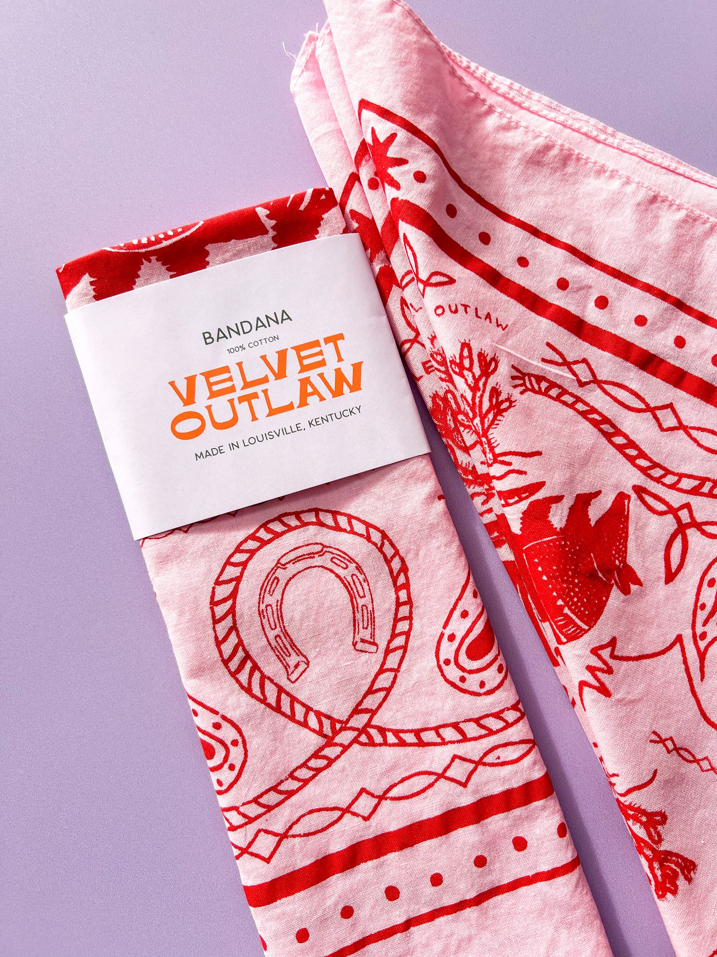 Armadillo Cotton Bandana - Multiple Colors