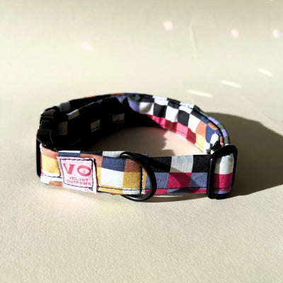 Rainbow Retro Checker Dog Collar