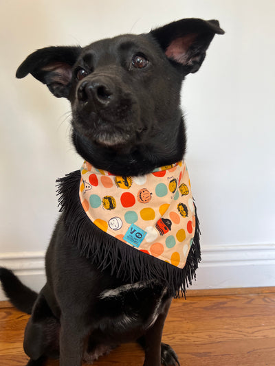 Halloween Monsters Pet Bandana