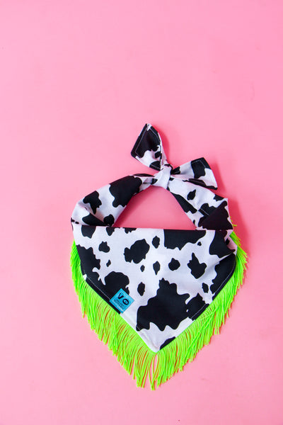 Cow Print with Lime Green Fringe Pet Bandana