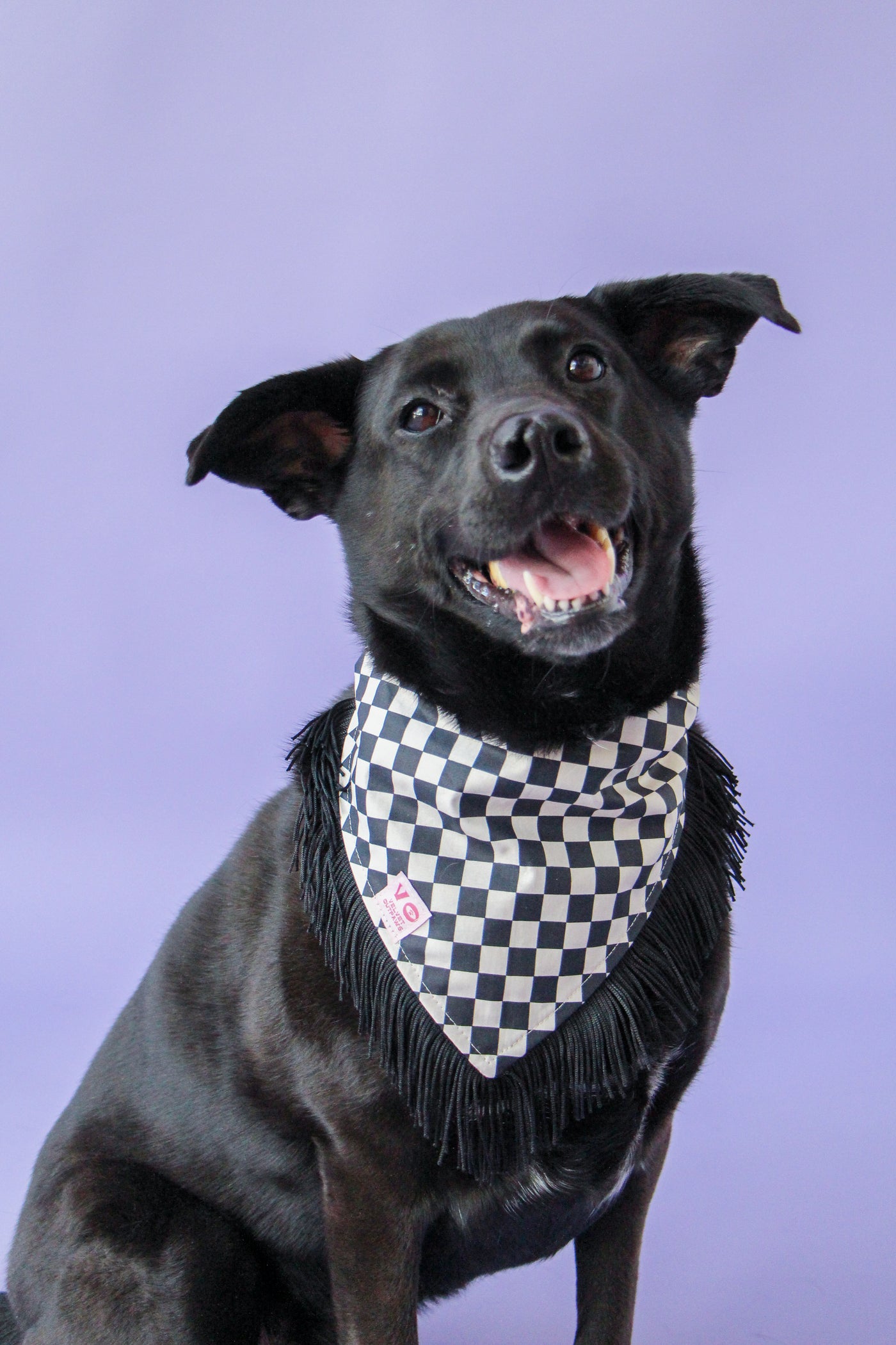 Black & White Checker with Black Fringe Dog Bandana