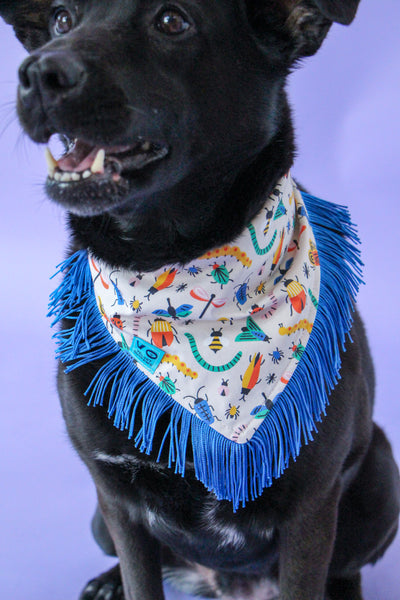 Bugs with Blue Fringe Dog/Cat Bandana