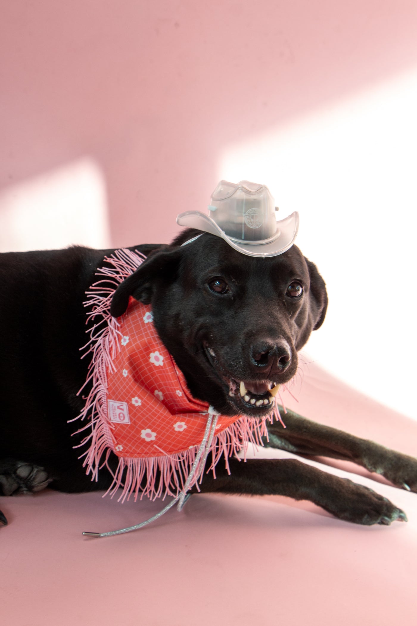 Groovy Floral with Pink Fringe Dog Bandana