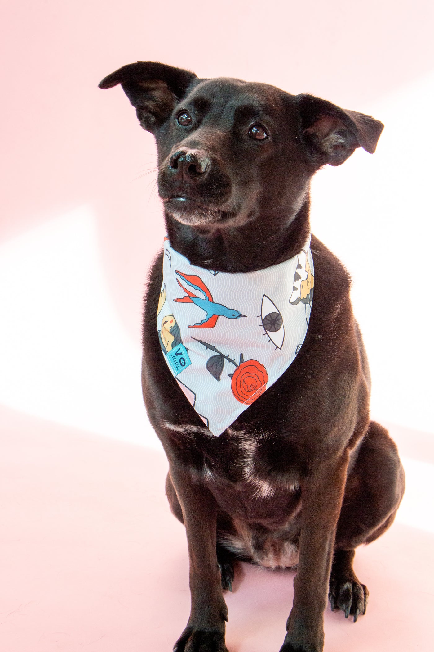 Tattoo Sailor Jane Style Anti Valentines Day Pet Bandana