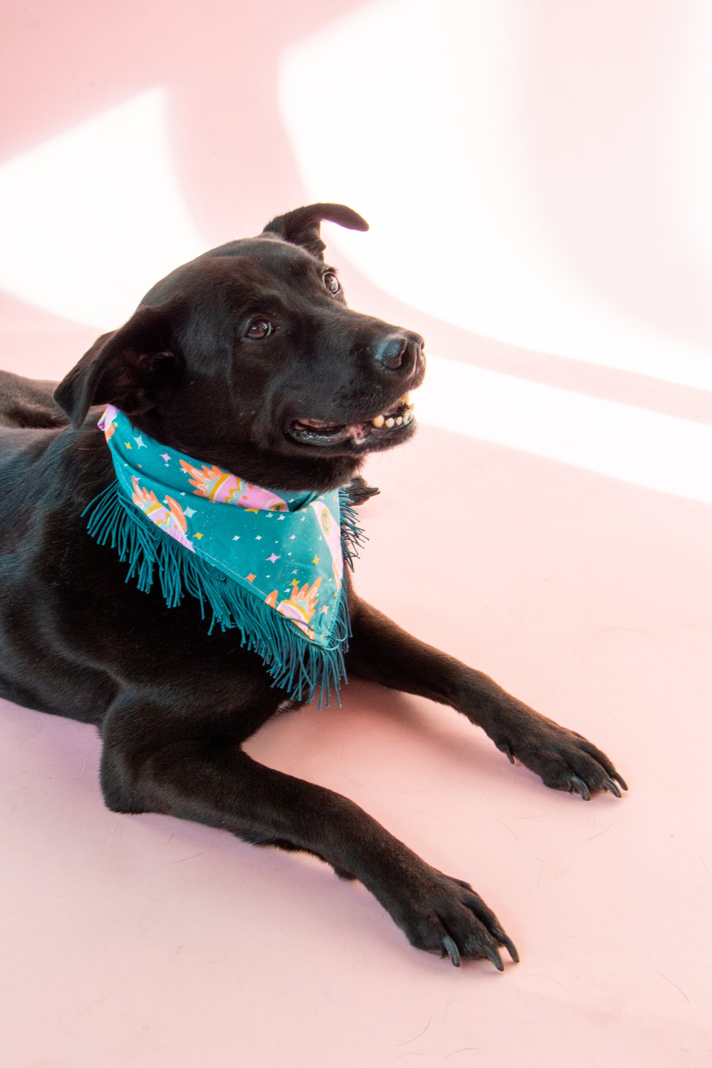 Space Cowboys with Teal Fringe Dog Bandana