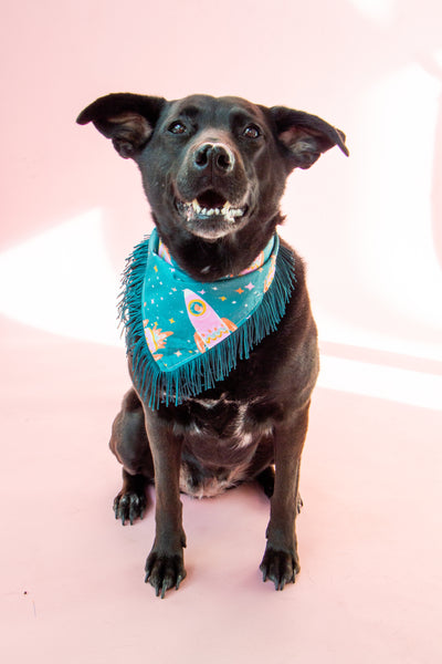 Space Cowboys with Teal Fringe Dog Bandana