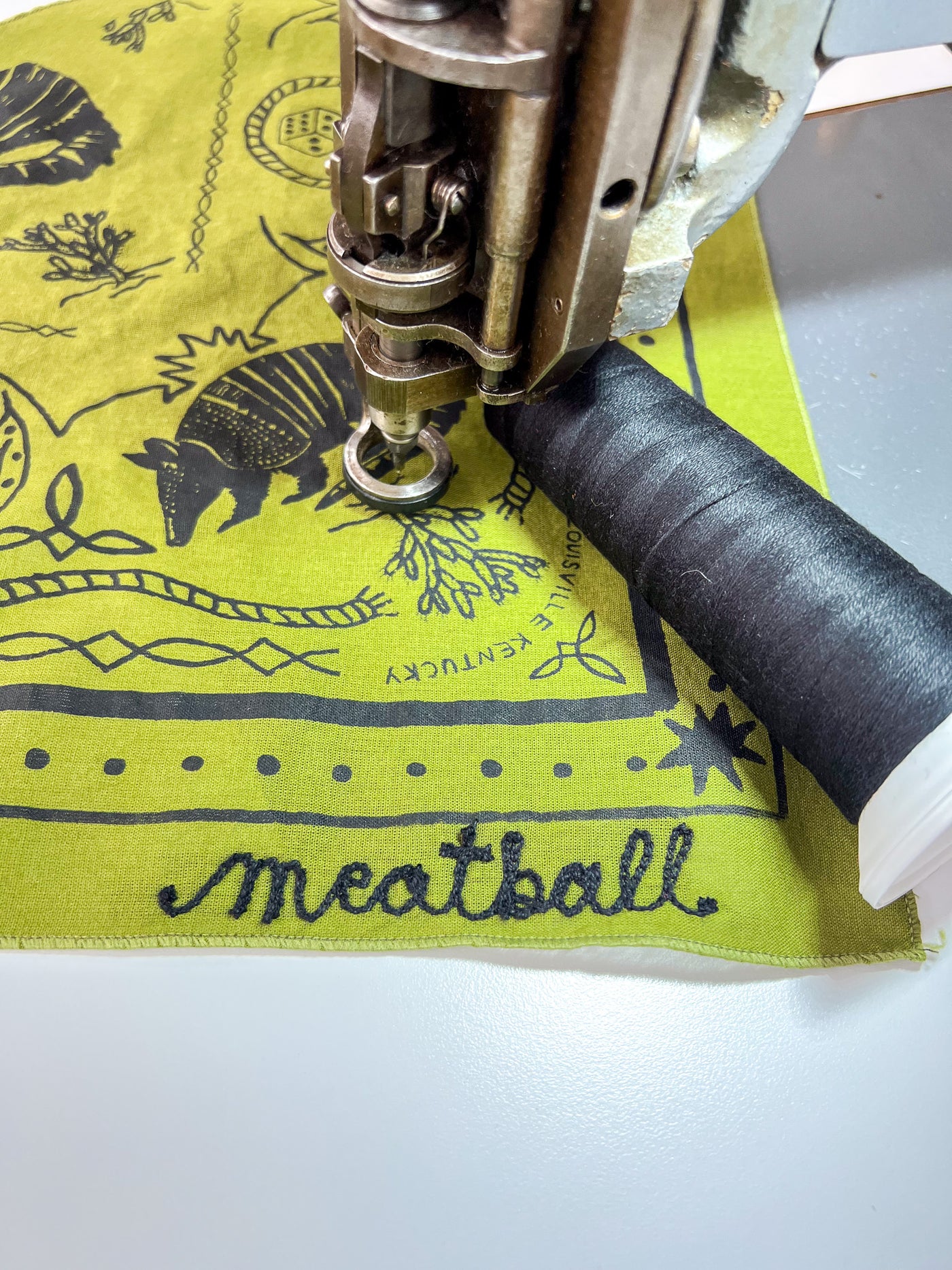 Triangle Armadillo Bandana