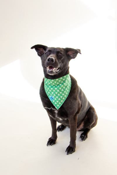 Spring Green Fern Dog Bandana