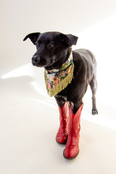 Gone Camping Pet Bandana