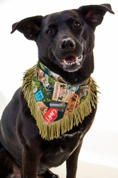 Gone Camping Pet Bandana