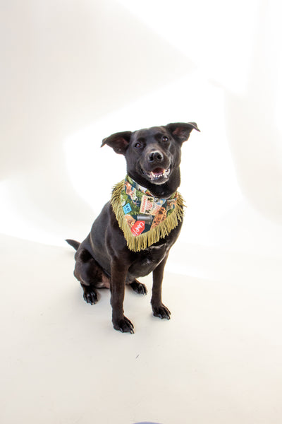 Gone Camping Pet Bandana