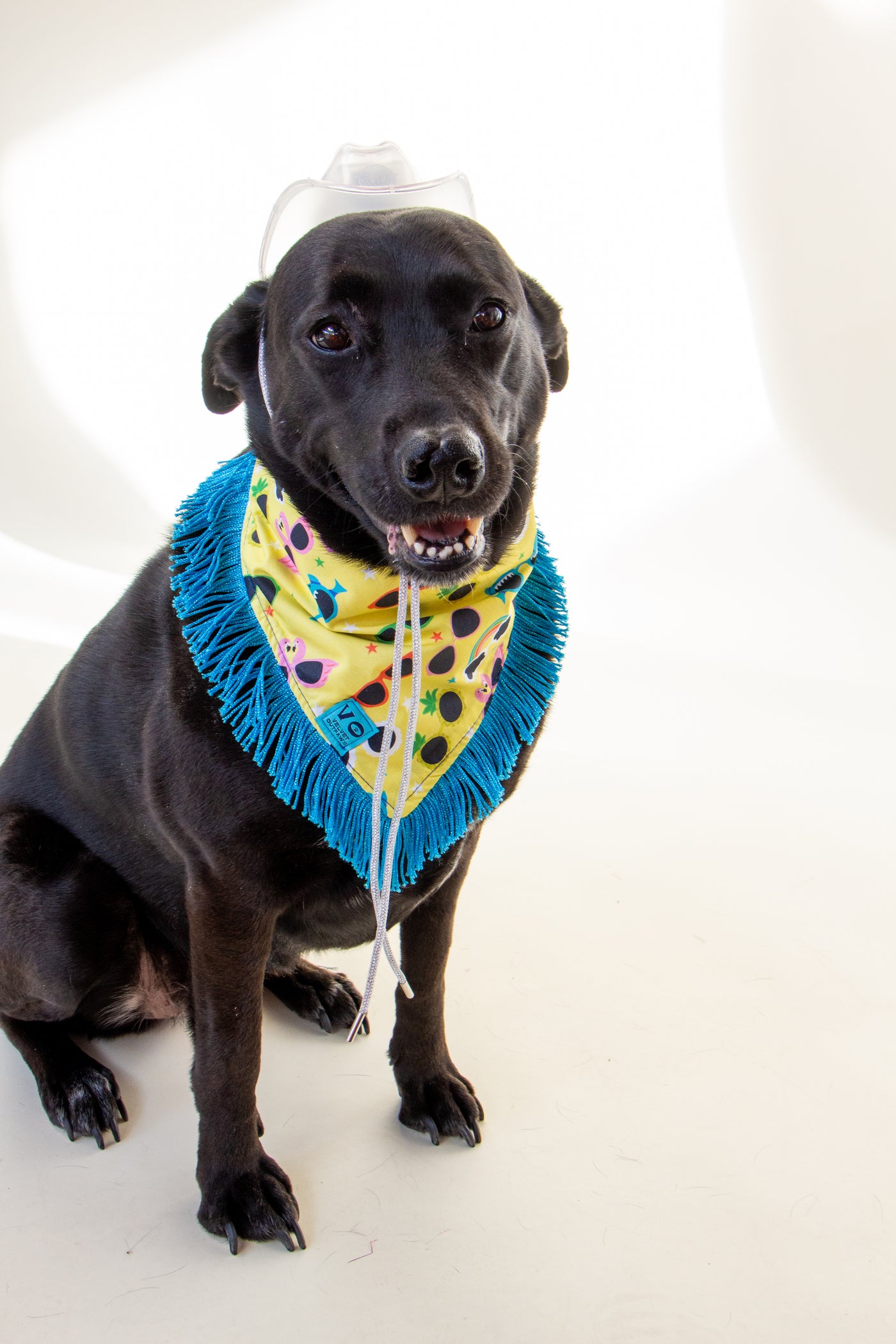 Tropical Sunnies with Metallic Blue Fringe Dog Bandana