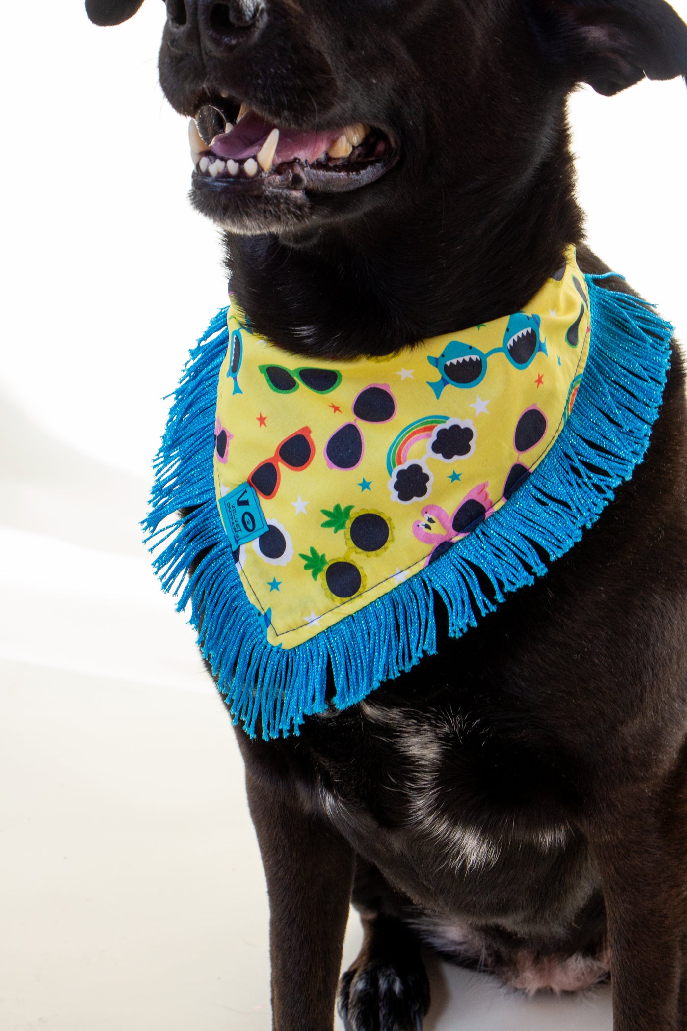 Tropical Sunnies with Metallic Blue Fringe Dog Bandana