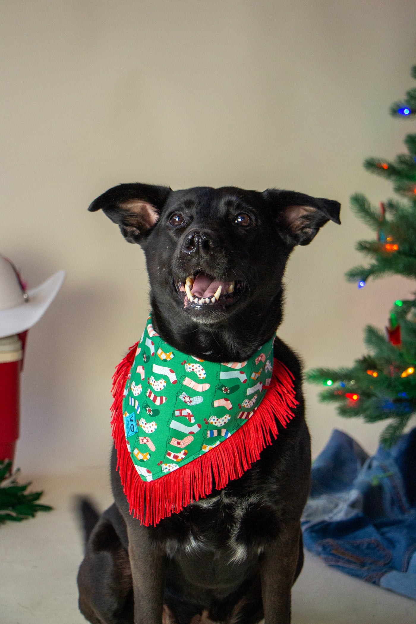 Holiday Stocking Fringe Pet Bandana