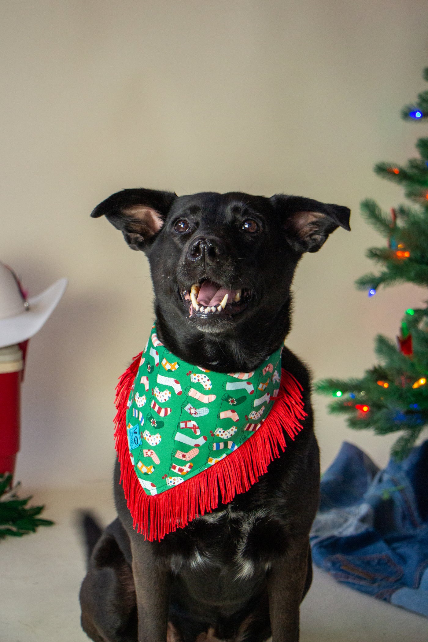 Stockings By the Fire Dog Bandana