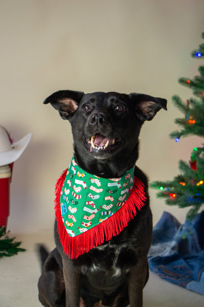 Stockings By the Fire Dog Bandana