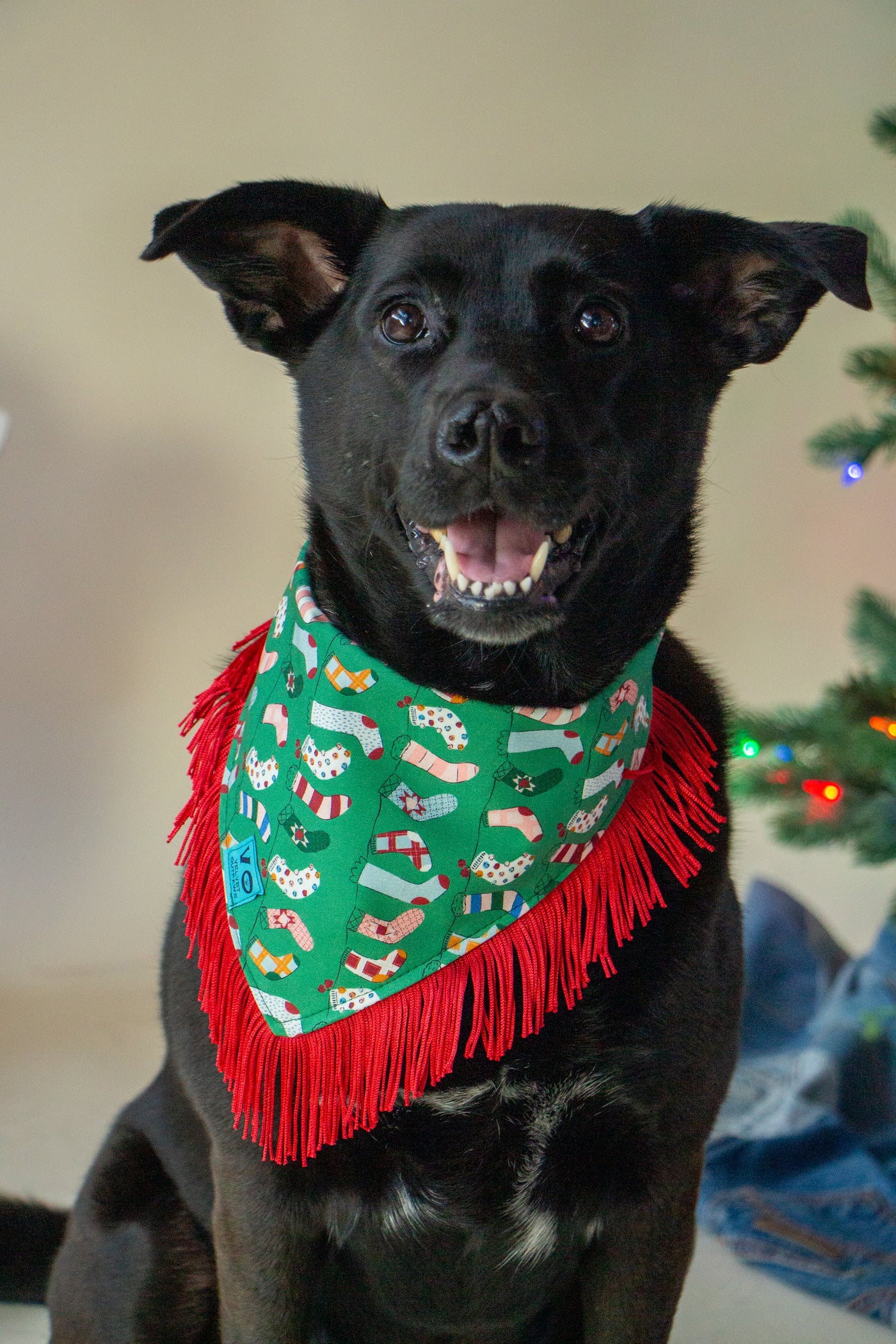 Holiday Stocking Fringe Pet Bandana