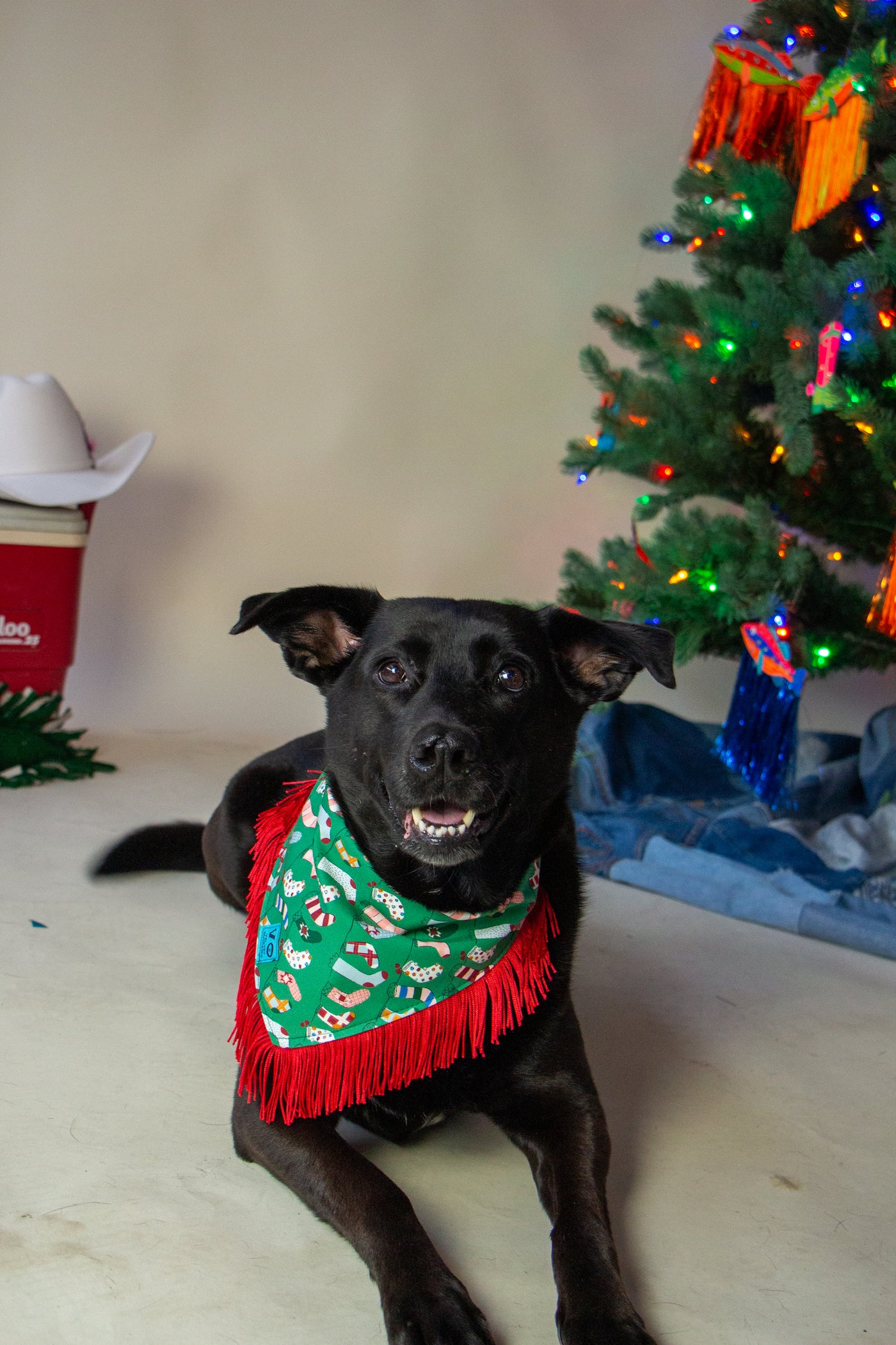 Holiday Stocking Fringe Pet Bandana